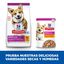 10 kg Hill's Science Plan Adult Small y Mini Pollo pienso para perros, , large indicador imagen numero 6
